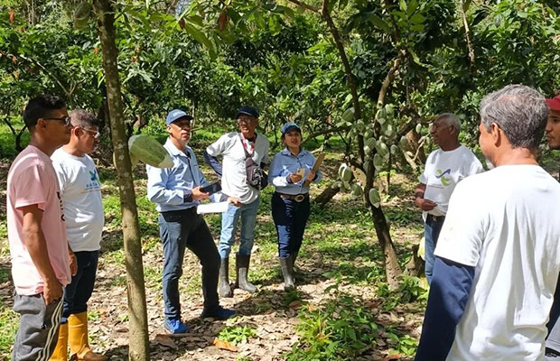 Avanza-certificación-de-semillas