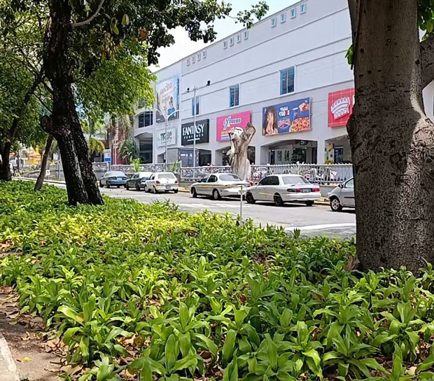 Caminería-Las-Delicias-Un-lugar-para-el-esparcimiento-al-aire-libre