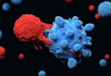 Células modificadas eliminan todo rastro de cáncer en solo dos semanas