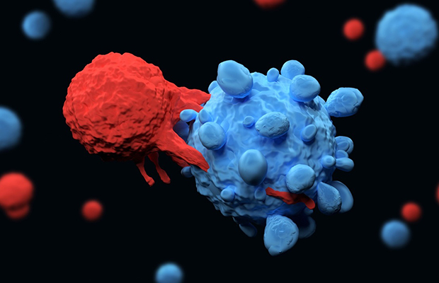 Células modificadas eliminan todo rastro de cáncer en solo dos semanas