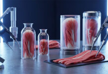 Científicos fabricaron esófagos funcionales en laboratorio