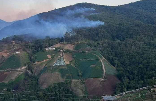 Combatieron incendio en Parque Nacional Macarao