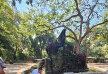 Conare y Zoológico Las Delicias recolectaron semillas para el Henri Pittier