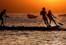 Crean fondo rotatorio para fortalecer la pesca artesanal en Barcelona