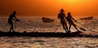 Crean fondo rotatorio para fortalecer la pesca artesanal en Barcelona