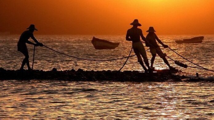 Crean fondo rotatorio para fortalecer la pesca artesanal en Barcelona