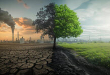 Crisis o emergencia climática: nuestro planeta está enfermo