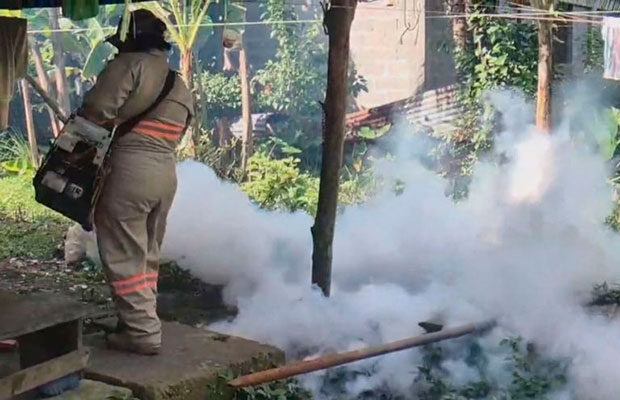 Cuatro-muertos-y-1.390-casos-de-dengue