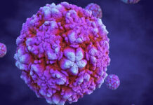 Descubren el virus del resfriado más antiguo hallado en tejidos de hace 250 años