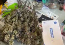 Desmantelada en España una de las mayores redes de distribución de hachís