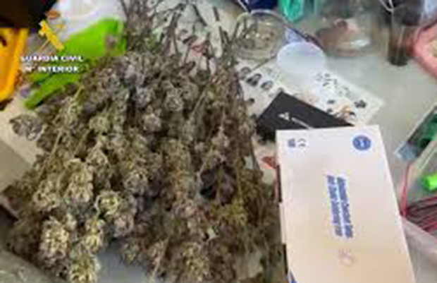 Desmantelada en España una de las mayores redes de distribución de hachís