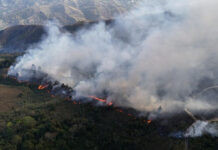 Despliegue nacional contiene incendios forestales en pulmones vegetales estratégicos