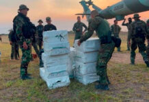 Destruyen campamento donde había una avioneta y 523 panelas de cocaína