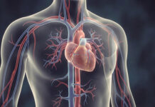 Día Mundial de la Rehabilitación: ¿por qué es un paso clave para la salud cardíaca?