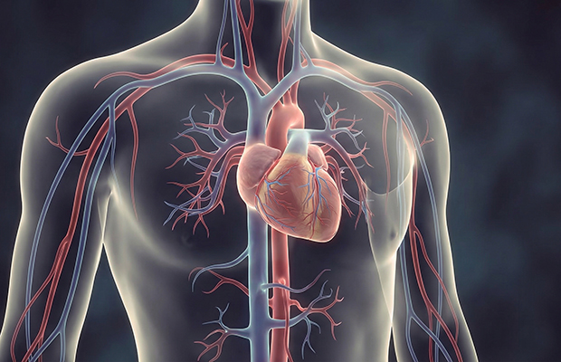 Día Mundial de la Rehabilitación: ¿por qué es un paso clave para la salud cardíaca?