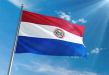 Dimite titular de petrolera paraguaya y Peña nombra reemplazo para fortalecer a la estatal