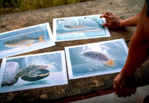 Documentan por primera vez 118 especies de peces en un río de la Amazonía de Ecuador