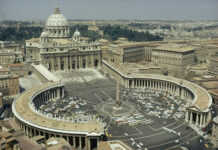El Vaticano pide reglas internacionales y éticas sobre los trasplantes de órganos animales