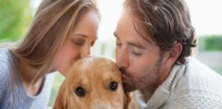 En España las mascotas son miembros del hogar