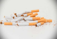 Esto pasa con las colillas de cigarrillo después de 10 años