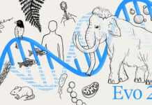 Evo 2, un nuevo modelo de IA para modelar y diseñar el código genético de la vida