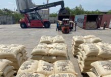 Exportan más de 240 toneladas de café verde a EE.UU. y China desde Lara