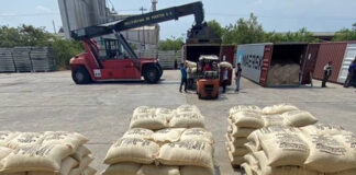 Exportan más de 240 toneladas de café verde a EE.UU. y China desde Lara