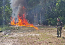 FANB destruye campamento de combustible utilizado por narcotraficantes en Amazonas