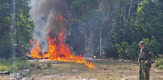 FANB destruye campamento de combustible utilizado por narcotraficantes en Amazonas