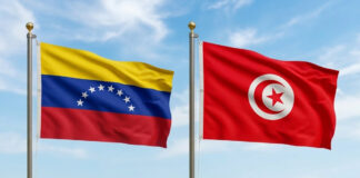 Gobierno venezolano fortalece alianzas estratégicas con Túnez en diversas áreas