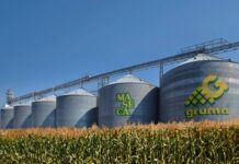 Gruma evalúa el relanzamiento de sus operaciones en el mercado venezolano tras años de ausencia