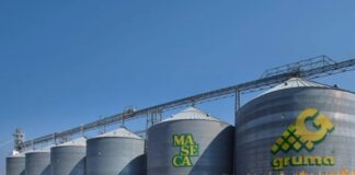 Gruma evalúa el relanzamiento de sus operaciones en el mercado venezolano tras años de ausencia
