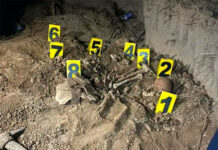 Hallan osamenta humana en el municipio Falcón