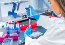 Hallan una inesperada fuente de “combustible” para las células tumorales, un antioxidante