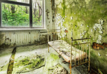 Hongo mutante de Chernóbyl podría abrir las puertas a futuros viajes espaciales