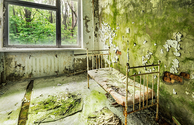 Hongo mutante de Chernóbyl podría abrir las puertas a futuros viajes espaciales