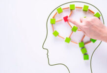 Identifican la proteína que permite al cerebro retener información a corto plazo