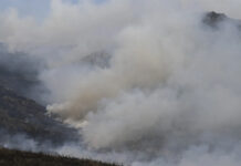 Incendios forestales en Europa podrían duplicarse antes de acabar el siglo