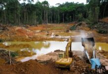 Ingeniero estima que ingresos por minería podrían superar los $6.000 millones en cuatro años