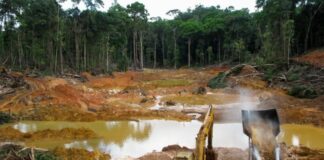 Ingeniero estima que ingresos por minería podrían superar los $6.000 millones en cuatro años