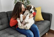 Italia dará permiso laboral remunerado por mascotas enfermas