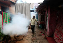 Los eventos climáticos extremos disparan epidemias como el dengue