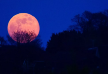 Luna Rosa 2026 se verá en Venezuela este #01Abr