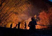 Más de 50 horas llevan combatiendo las llamas en el Henri Pittier