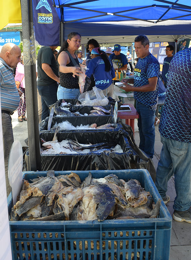 Plan-Venezuela-Come-Pescado-se-despliega-en-56-puntos-del-estado-Aragua