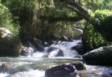 Presidenta (E) plantea declarar el 22 de marzo como Día Nacional del Agua