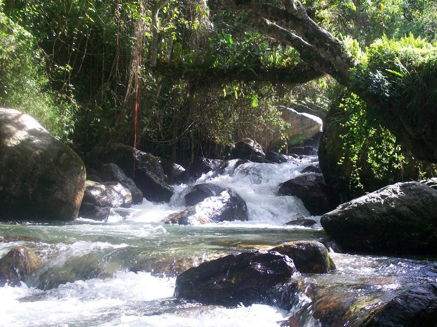 Presidenta (E) plantea declarar el 22 de marzo como Día Nacional del Agua