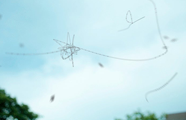 Qué son las “moscas volantes” que aparecen en la vista