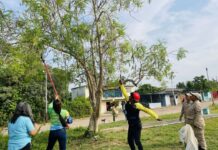 Recolectan más de 20 mil semillas en jornada nacional