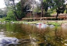 Río La Guama: un reservorio natural del llano cojedeño